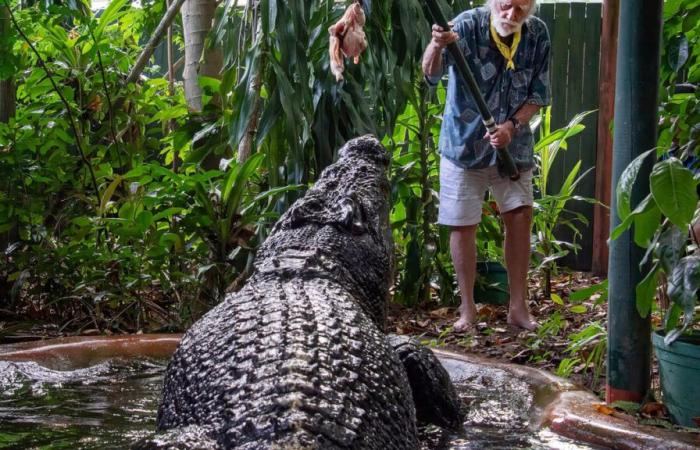 Cassius, das größte Krokodil der Welt in Gefangenschaft, stirbt im Alter von 110 Jahren