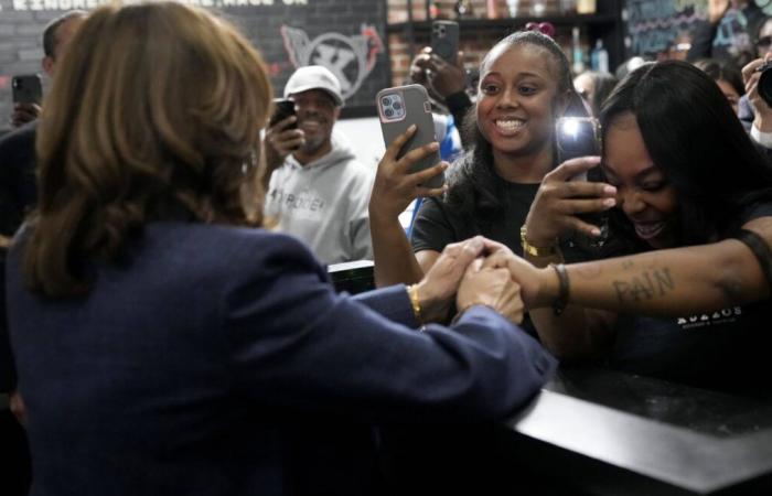 Eine Anzeige konzentriert sich auf die geheime Abstimmung von Frauen für Kamala Harris (Pro-Trump-Männer sind wütend)