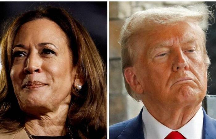 Es ist Zeit für das letzte Plädoyer für Kamala Harris und Donald Trump