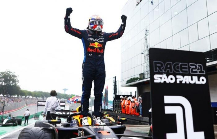 Verstappen erlebte an diesem Sonntag in Brasilien „eine echte Achterbahnfahrt“.