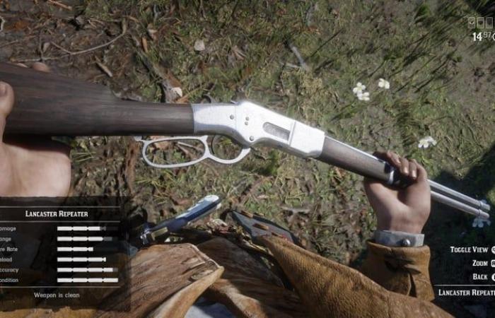 Beste Red Dead Redemption 2-Waffen: Welche sollte man wählen, um der König des Wilden Westens zu werden?