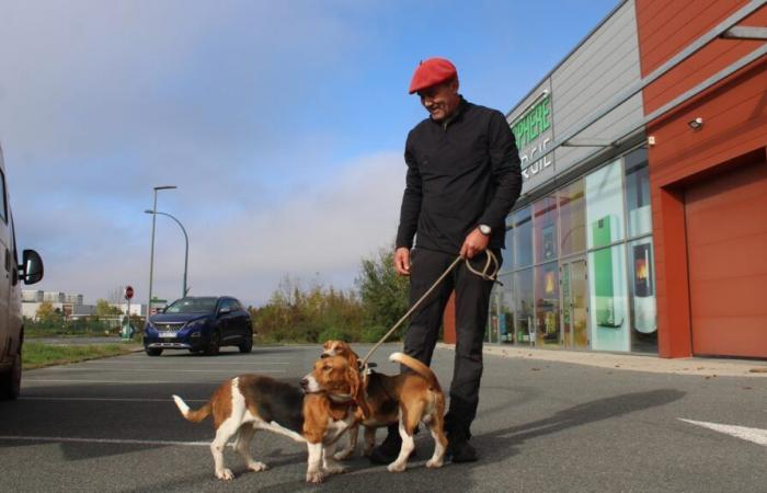 Fünf gestohlene Jagdhunde wurden am Stadtrand von Niort gefunden