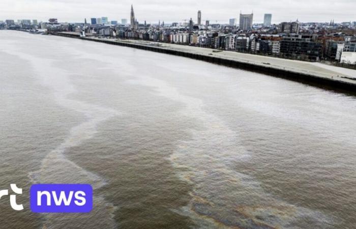 Nur ein Drittel der europäischen Flüsse und Seen hat eine ausreichende Wasserqualität; in Belgien enthält es zu viele Pestizide und Stickstoff.