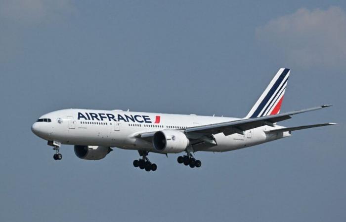 Air France stellt „bis auf weiteres“ alle Flüge ihrer Flugzeuge über das Rote Meer ein