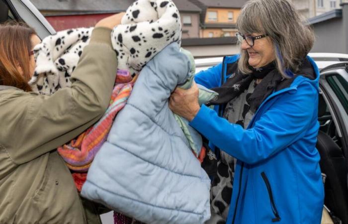 Nach dem Brand: Das Tierheim Schifflange ist mit Spenden überhäuft