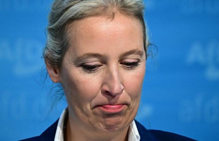 NSDAP-Vergangenheit von Großvater – Weidel dementiert: „Nie Gesprächsthema“ – Deutschland