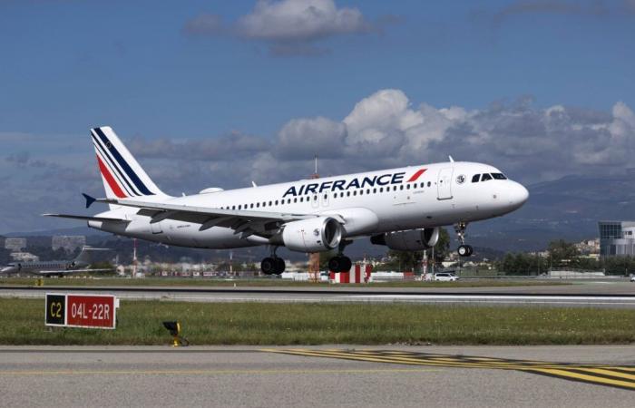 Air France stellt Flüge über das Gebiet ein, mehrere ihrer Flugzeuge kehren um