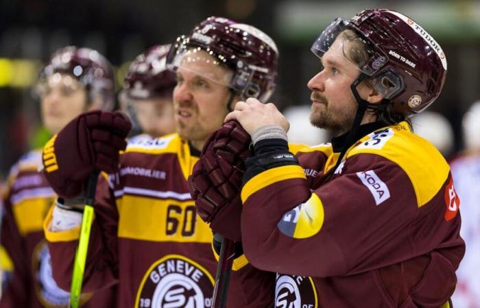 Eishockey: Die Malaise von Genève-Servette in fünf Zahlen zusammengefasst