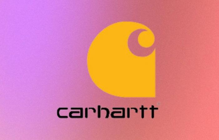 Preissenkung für diese 3 bei Internetnutzern sehr beliebten Carhartt-Produkte