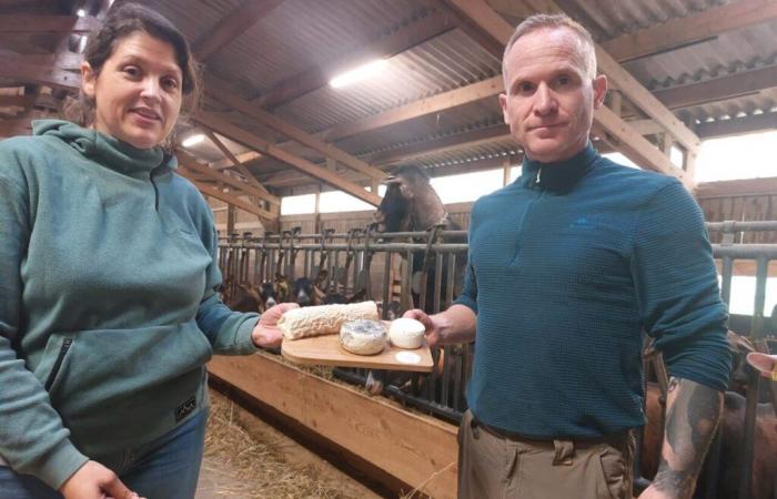 Diese Oise-Ziegenzüchter haben Geschmack zu ihrem Steckenpferd gemacht