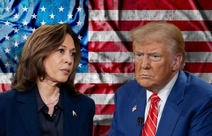 Trump oder Harris bei der US-Wahl: Umfrage-Experte mit Ergebnis-Prognose