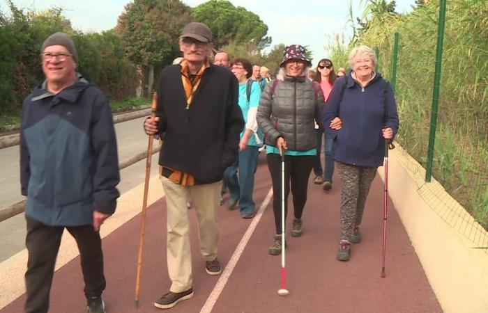 30.000 Menschen in Frankreich sind davon betroffen, ein Schritt zur Unterstützung der Erforschung von Retinitis pigmentosa