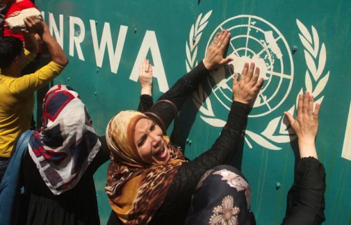 Krieg im Nahen Osten: Israel informiert die UN über die Kündigung des Abkommens mit UNRWA