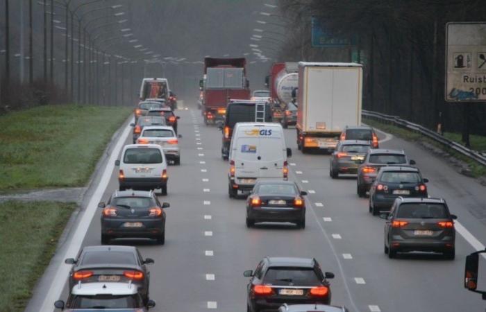 Es gibt wirklich so viele Nutzfahrzeuge in Belgien