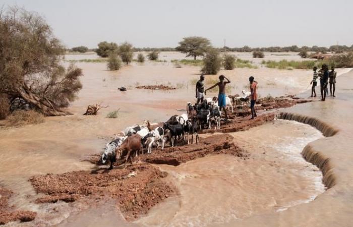 Im Senegal haben Überschwemmungen im Osten des Landes mehr als 56.000 Menschen vertrieben