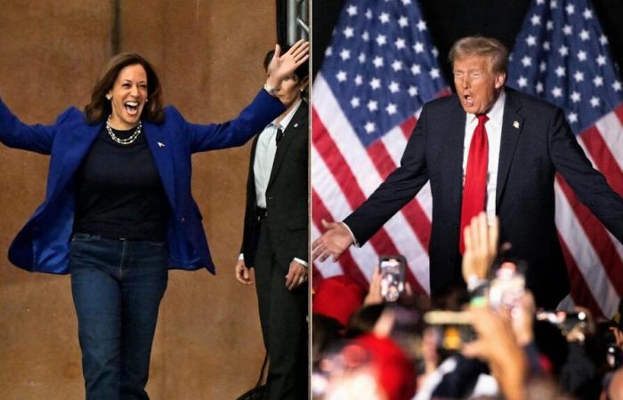 Morgen US-Wahl! Harris oder Trump? Das sagen die neuesten Umfragen | Politik