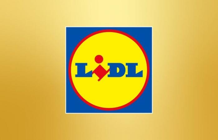 Hat Lidl einen Preisfehler gemacht oder einen verrückten Preis für diesen Bluetooth-Lautsprecher angeboten?