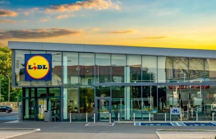 „Ich bin Wartungsarbeiter bei Lidl, so viel verdiene ich“