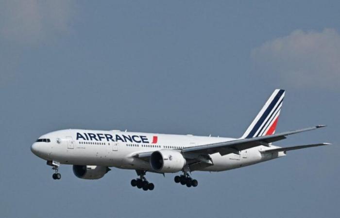 „Leuchtendes Objekt in großer Höhe“: Air France stellt ihre Flüge über dem Roten Meer „bis auf weiteres“ ein