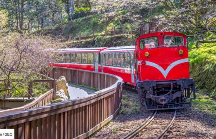 „Es ist, als würde man in eine andere Welt eintauchen“: In Taiwan ein malerischer Zug, um die Vergangenheit zu erkunden