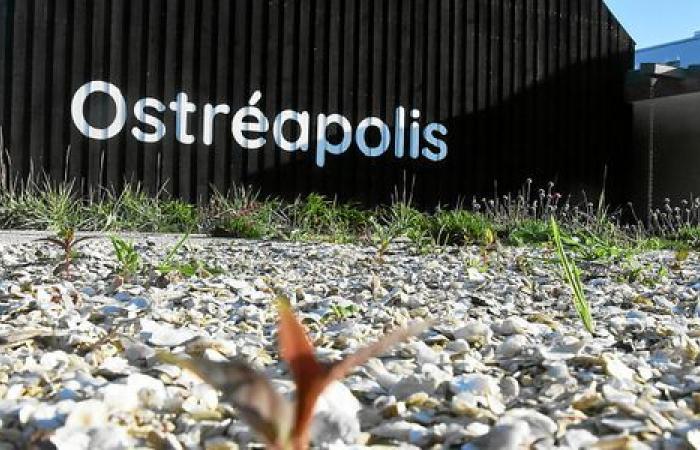 Was ist das Ergebnis von Tour-du-Parc für Ostréapolis, das Zentrum für Austern?