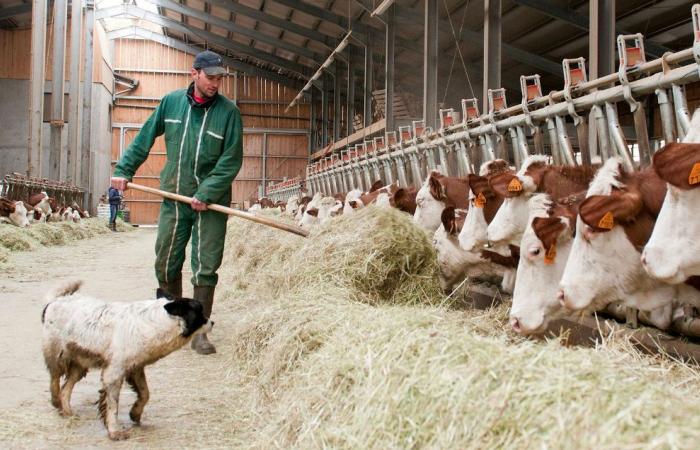 Was tun, wenn es regnet? 5 ungewöhnliche Aktivitäten im Pays-de-Savoie