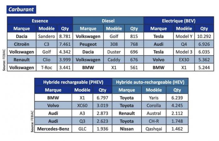 Analyse: die beliebtesten Autos in Belgien (2024)