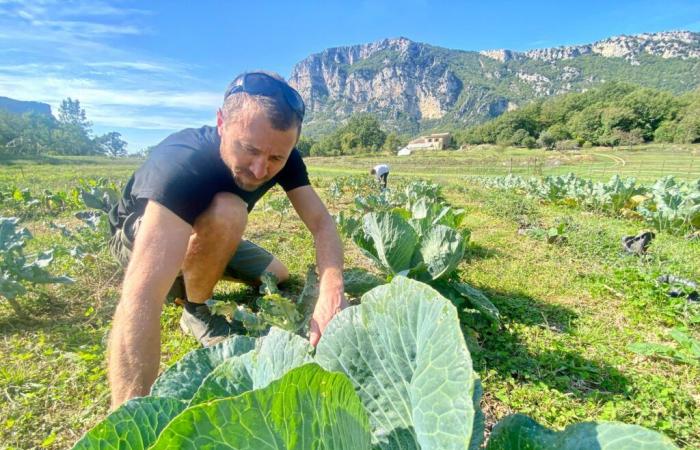 Um sein Restaurant in Mandelieu mit lokalem Gemüse zu versorgen, kaufte er einen Bauernhof im Hinterland