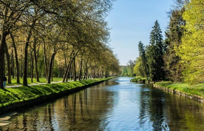 Die Untersuchung wurde nach dem Tod zahlreicher Fische in einem mit Zucker verschmutzten Kanal eingeleitet