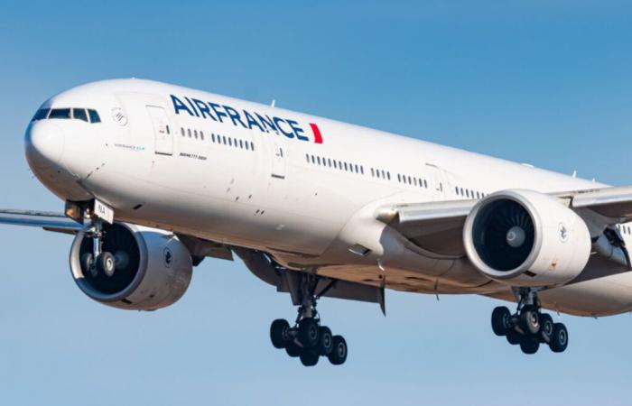 Air France setzt einige Flüge aus, Besatzung entdeckt leuchtendes Objekt