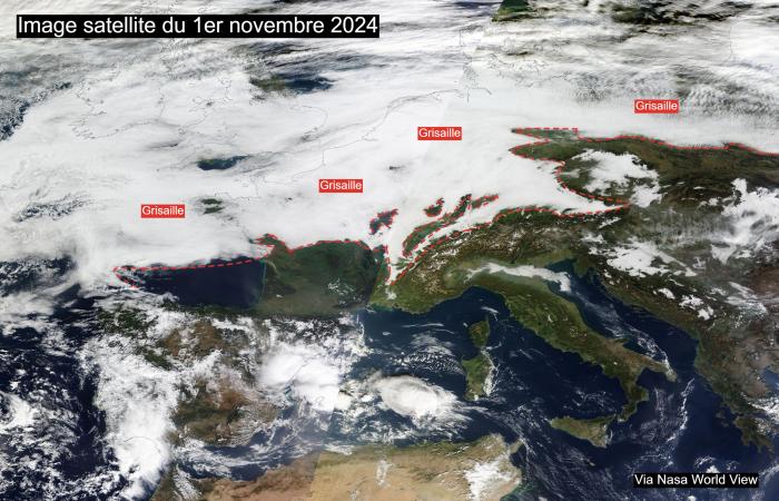 Wetternachrichten: Grau im Norden, außergewöhnlich mild im Süden: Was für ein Kontrast! 11.04.2024