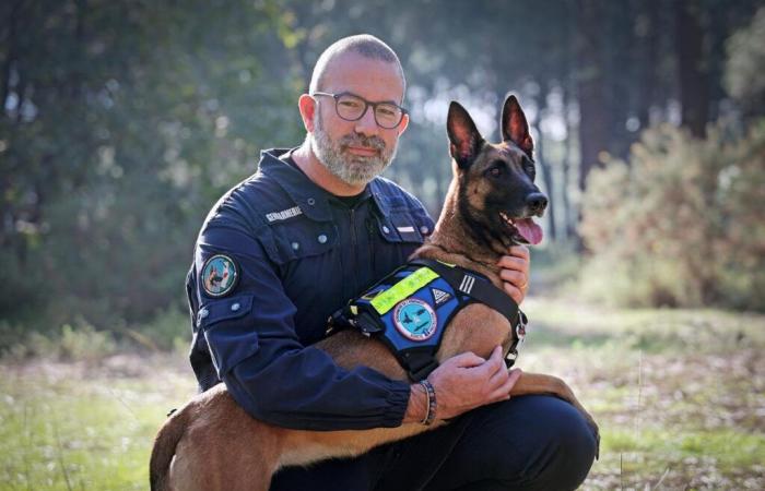 Aus der SPA ist ein Malinois heute der Stolz der bewaffneten Gendarmerie