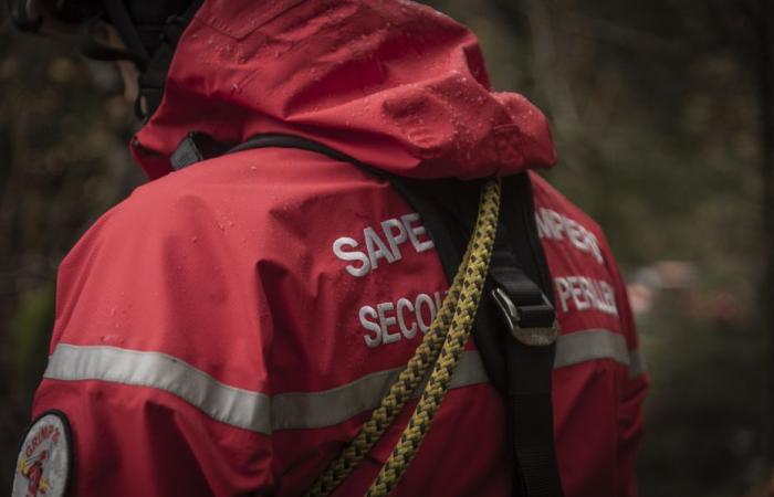 Schwer verletzt, Fahrer flüchtet nach Unfall in Schlucht