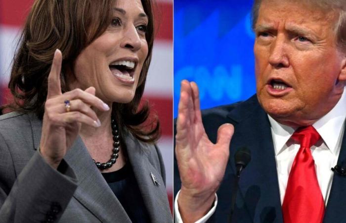 Ob Kamala Harris oder Donald Trump gewinnen, die Amerikaner haben Angst vor Gewalt