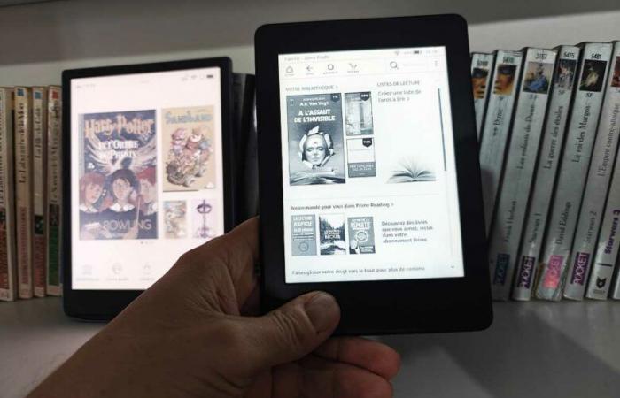 Die Nachteile digitaler E-Reader sollten erwähnt werden