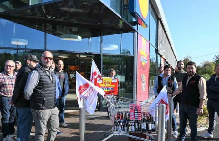 „Ein Notruf, weil die Verkaufspreise zu niedrig sind“ für die Gard-Winzer, die beim Lidl in Bagnols-sur-Cèze demonstrierten