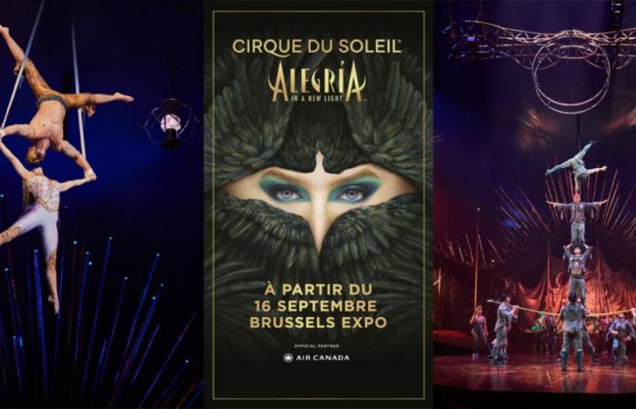 Cirque du Soleil kehrt im September 2025 nach Belgien zurück