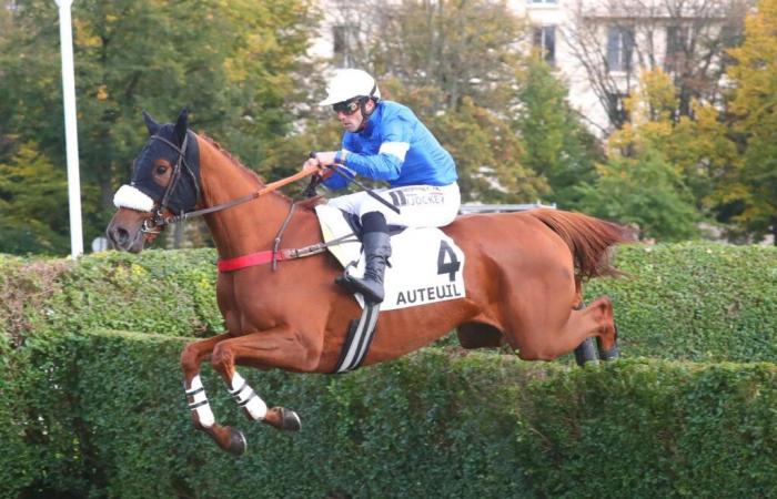 Der gute Tag für Bon Garçon beim Prix Triquerville in Auteuil?