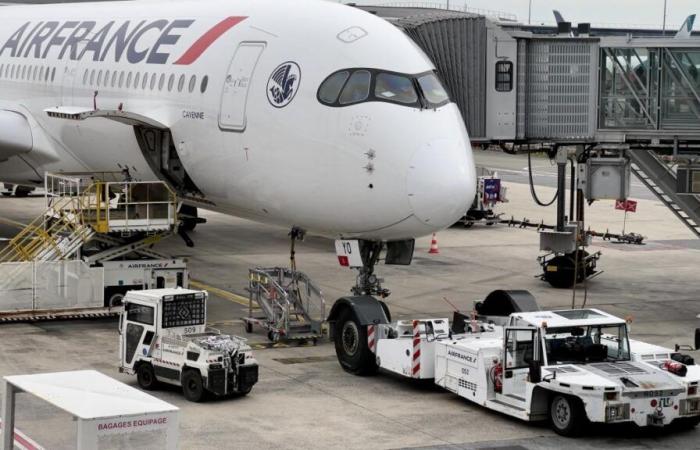 Ein Flugzeug der Air France sieht ein „leuchtendes Objekt“ über dem Roten Meer und dreht um