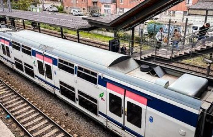 Vier Menschen wurden im RER E am Bahnhof Ozoir-la-Ferrière mit Äxten verletzt, zwei davon schwer