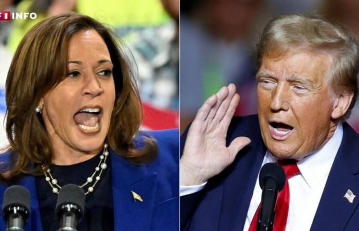 LIVE – US-Präsidentschaftswahl, D-1: Harris und Trump erreichen die Zielgeraden