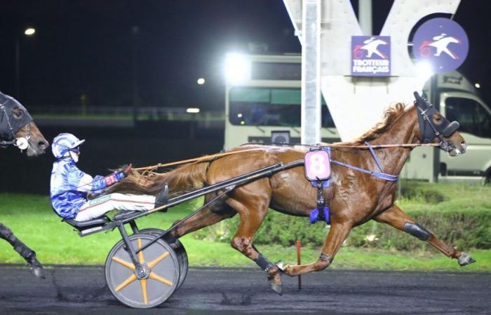 Maestro River gewinnt mit Eric Raffin den Prix Géminus