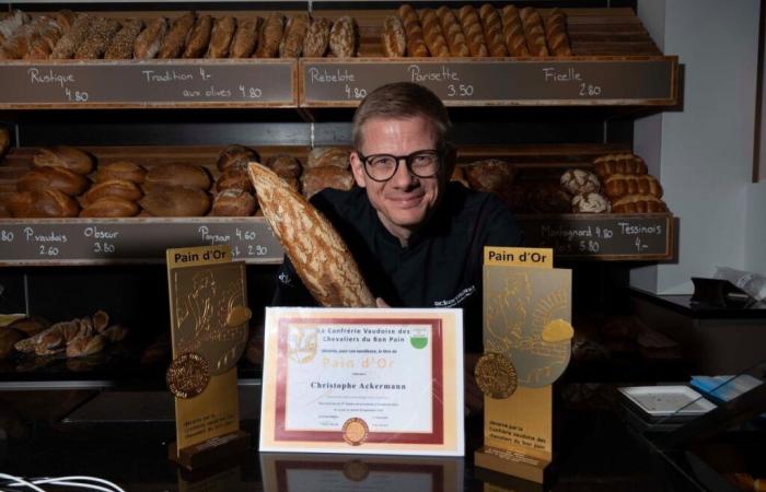 Swiss Bakery Trophy: Le Pain d’Or Vaudois ist auch der beste Schweizer Bäcker