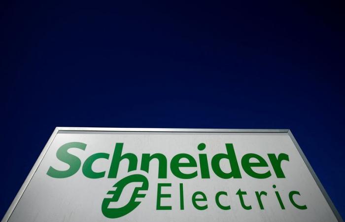 Live von den Märkten: Rififi bei Schneider, Nvidia im DJIA, der Schatz von Berkshire