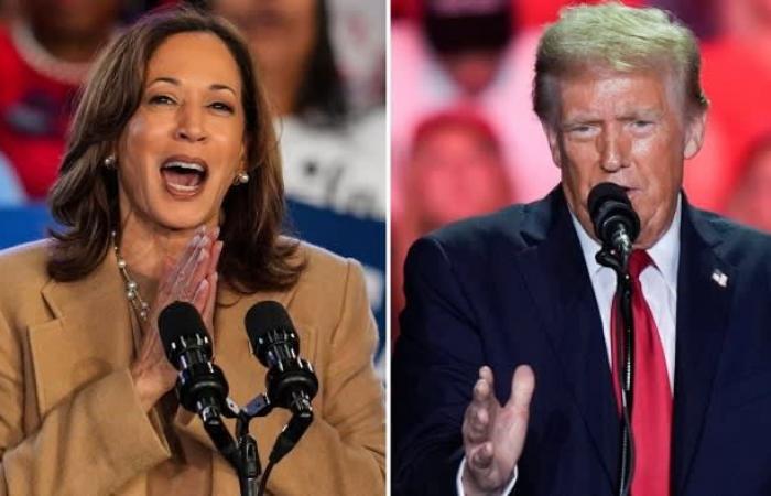 Donald Trump schlägt heftig zu, als das Rennen mit Kamala Harris bis zur letzten Minute endet