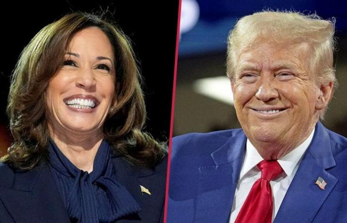 US-Wahl: Trump vs. Harris – Wofür stehen die Kandidaten? | Politik