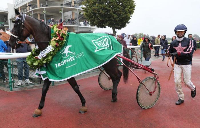 Nantes Harry de Sassy macht Jules Leroulley glücklich