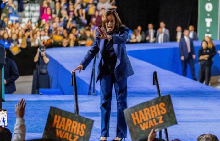 US-Wahl: Noch 1 Tag – Was Umfragen sagen, was Harris und Trump vorhaben | Nachrichten zur US-Wahl 2024