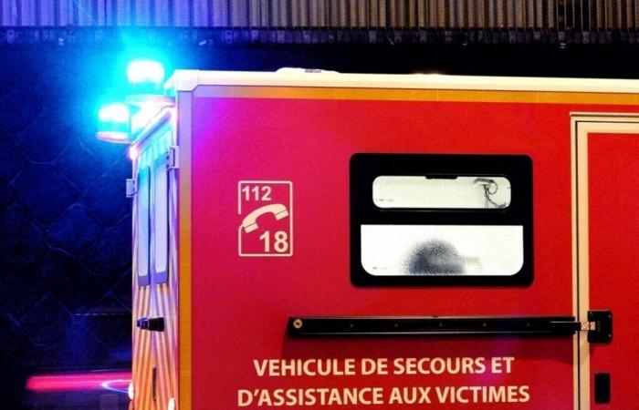 Gard. Ein Siebzigjähriger stirbt, nachdem er in Alès von einem Auto angefahren wurde