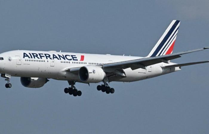 Wie wir wissen, stellt Air France vorsorglich Flüge über dem Roten Meer ein